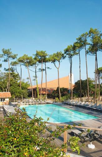 une piscine avec chaises longues et palmiers dans l'établissement Résidence Vacances Bleues Domaine de l'Agréou, à Seignosse