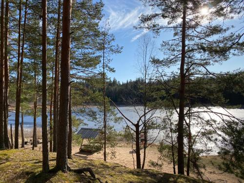 a view of a lake through the trees at Karula Stay Camper by lake Õdri - SUPs included in Rebasemõisa