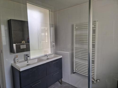 une salle de bain avec un lavabo, un miroir et une douche dans l'établissement Gîte du moulin, à Saint-Loup-Hors