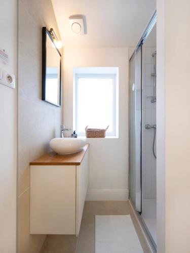 une salle de bain avec un lavabo et une douche dans l'établissement Studio Secundo, à Metz