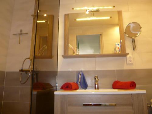 une salle de bain avec un lavabo, un miroir et une douche dans l'établissement Villa Village Naturiste Farel, au Cap d'Agde