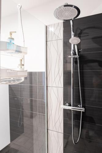 a bathroom with a shower with a shower head at Rodinné Ubytování Meli-EL in Pasohlávky
