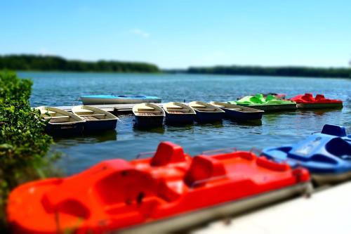 a group of boats sitting in the water at Apartment Am Lübbesee in Templin