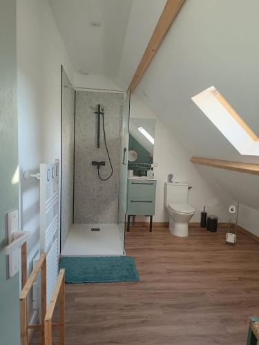 une salle de bain avec une douche avec des toilettes et un lavabo dans l'établissement Au pied de la colline, à Alembon