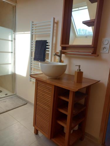 a bathroom with a bowl sink on a wooden vanity at Location 24h du Mans in Parigné-lʼÉvêque