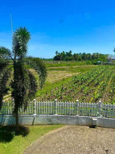 a white fence with a palm tree in front of a field at Kamatha Hotel & Restaurant in Ambalantota