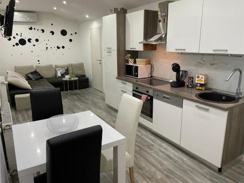 Kuchyňa alebo kuchynka v ubytovaní Apartman Rakovac