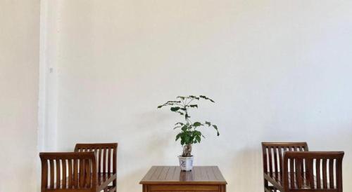 a table with a potted plant sitting between two chairs at ATAP Hotel in Kota Kinabalu