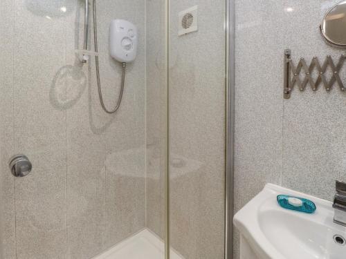 una ducha con una puerta de cristal junto a un lavabo en The Outbuilding at Tyn Llan, en Cemaes