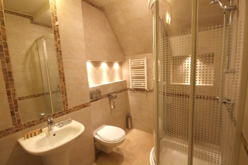 a bathroom with a toilet and a shower and a sink at Centrum Green Hill Business & SPA in Wisła