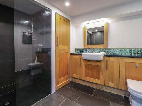 ein Badezimmer mit Waschbecken, Toilette und Dusche in der Unterkunft Clywedog Cottage in Dolgellau