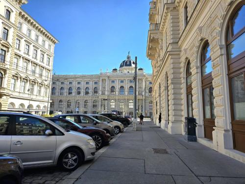 Wien erleben im 1 Bezirk