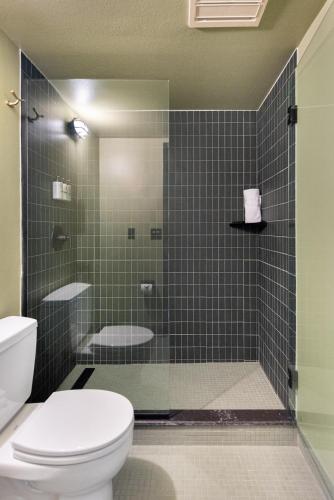 a bathroom with a toilet and a shower at Station House Inn South Lake Tahoe in South Lake Tahoe