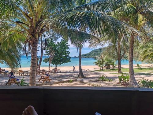 a view of a beach with palm trees and the ocean at Lazy Beach in Koh Rong Sanloem
