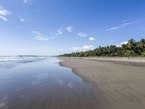an empty beach with palm trees on the horizon at Adults Only - Dreamers Refuge in Parrita