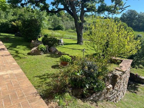 a garden with a stone wall and some plants at Agriturismo Meriggio in Semproniano