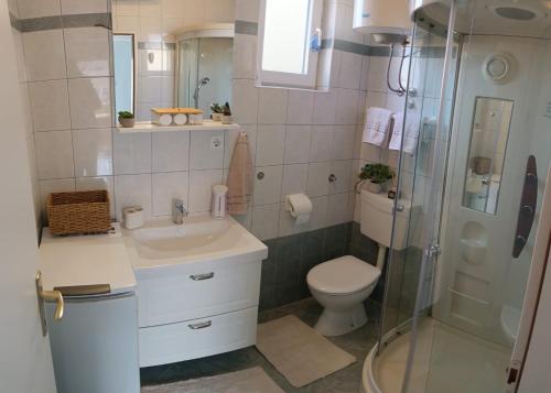 Un baño con inodoro, lavabo y ducha. en Sunny Family Apartment, en Gornji Karin