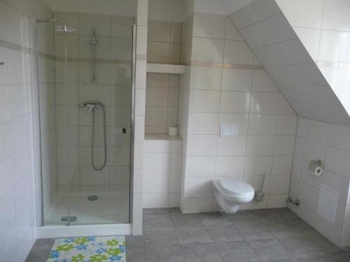 a bathroom with a shower and a toilet at Pałac Wojciechy in Wojciechy