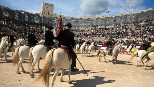 un groupe de personnes à cheval avec drapeau dans l'établissement Studio Méditerranée au pied des Arènes, à Arles