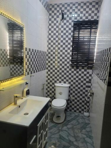 Magboro-AkeranにあるSonia Apartments Magboroの洗面台、トイレ、鏡のあるバスルーム