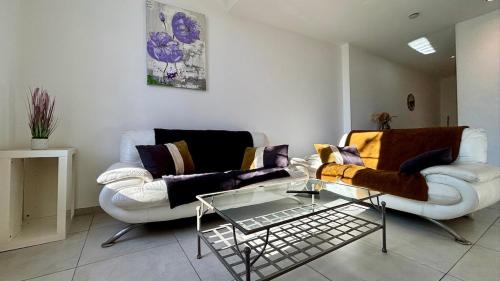 Charmant 3 pièces au coeur du vieux Montpellier