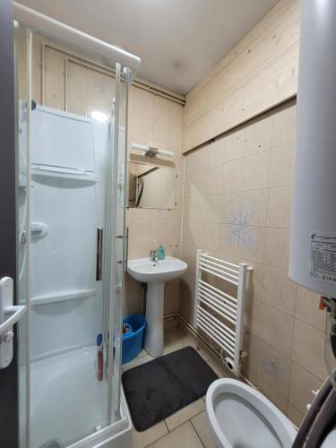 a bathroom with a shower and a sink and a toilet at Duplex apartment 700 m from Compiègne train station in Margny-lès-Compiègne