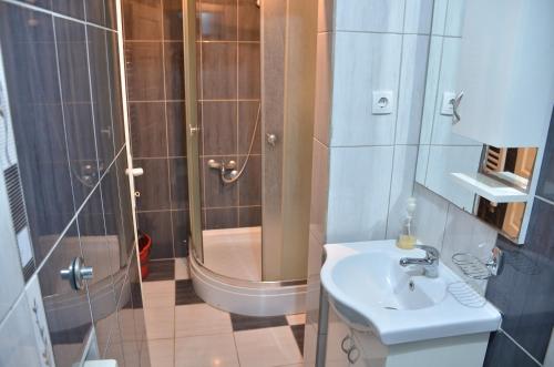 a bathroom with a shower and a sink and a toilet at Smestaj na Drini in Bajina Bašta