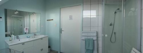 a bathroom with a shower and a sink at Au Coeur des Champs in Regniowez