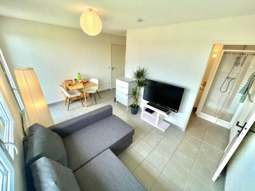 una sala de estar con un sofá y una mesa en " Le nid de Peyramont " Centre ville - Balcon - WiFi, en Muret