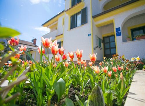 Apartments Matosevic