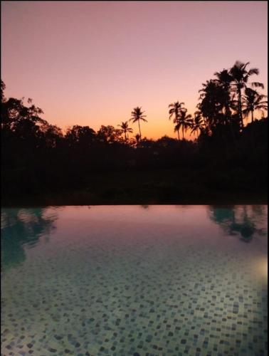 a sunset over a pool of water with palm trees at Beach Bliss Apartment Hotel - 7 Minutes walk to Beach in Colva