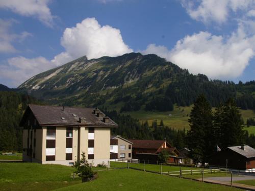 a house in a field with a mountain in the background at Apartment Bischofberger D22 in Amden