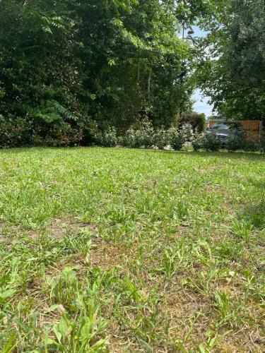 a field of green grass with trees in the background at Maison familiale de charme in Solférino
