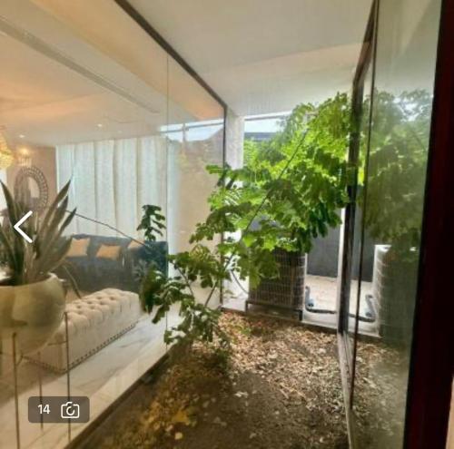 Κήπος έξω από το Apartamento en la mejor zona