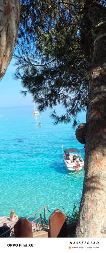 a boat in the water next to a tree at Siamese Villa in Paralimni