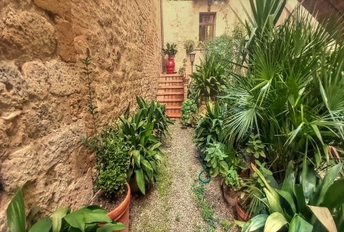 En have udenfor Casa nella Corte nel Centro di San Gimignano con balcone panoramico wifi e garage auto privato