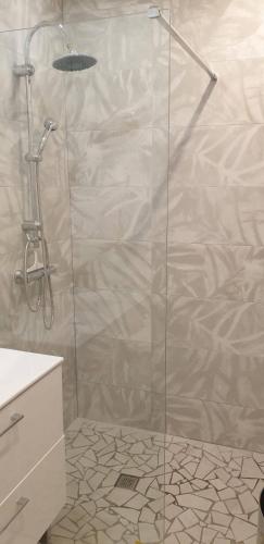 une douche avec une porte vitrée dans une salle de bain dans l'établissement Juan-les-Pins center and beach 50 m away, à Antibes