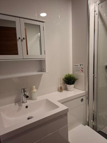 Kornel East London Apartmentにあるバスルーム