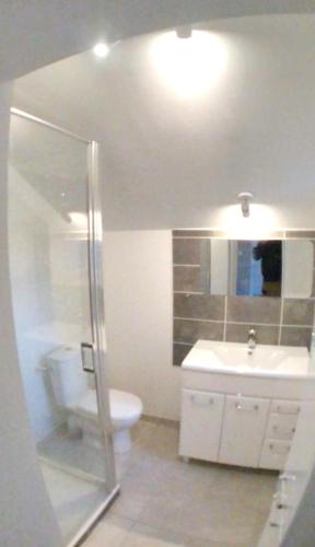 une salle de bain avec toilettes, lavabo et miroir dans l'établissement Studio avec jardin MER à proximité!, à Saint-Malo