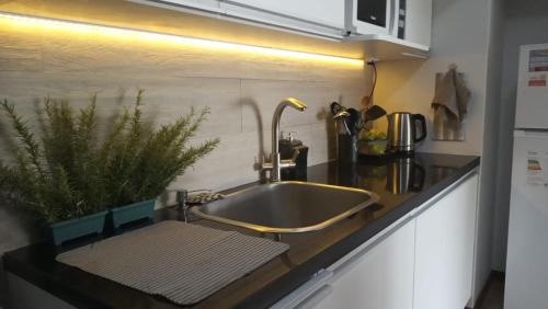 a kitchen counter with a sink with a plant on it at Viraro Apart - Apto céntrico con estacionamiento in Salto