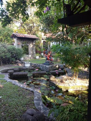 a garden with a pond with a koi at Adams homestay in Pangandaran