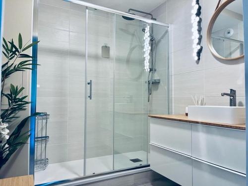 une salle de bain avec une douche en verre et un lavabo dans l'établissement charbonnier 6 personnes avec terrasse et parking, à Reims