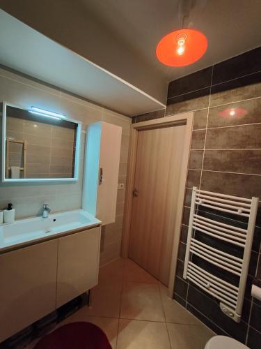 une salle de bain avec un lavabo, un miroir et une douche dans l'établissement Jolie appartement avec piscine et parking privé Menton, à Gorbio