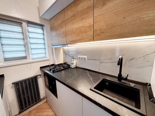 une cuisine avec une cuisinière et un comptoir dans l'établissement Camden Flat Walk In Shower, Smart Tv, Queen Bed, à Someşeni