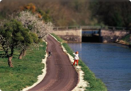a person walking a dog on a dirt road next to a river at Camping Du Paquier Fané in Chagny