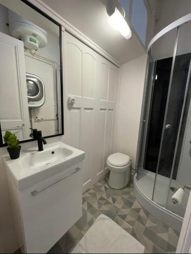 une salle de bain avec un lavabo, des toilettes et une douche dans l'établissement La Belle Époque Studio, à Le Mont-Dore