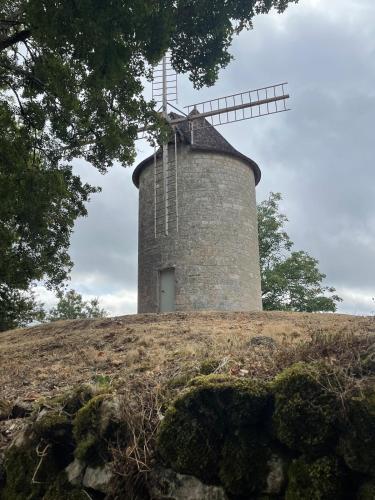 a windmill on top of a grassy hill at Gîte de la Bastide de Domme in Domme