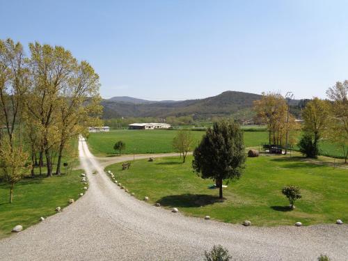 a gravel road leading into a field with trees at La Locanda Dell'olmo in Orvieto