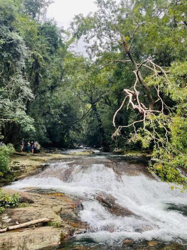 a group of people standing next to a river at Abimansala Resort in Hunnasgiriya
