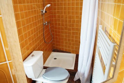 une petite salle de bain avec toilettes et douche dans l'établissement LE WOODY 700m Gare Wifi, à Laval